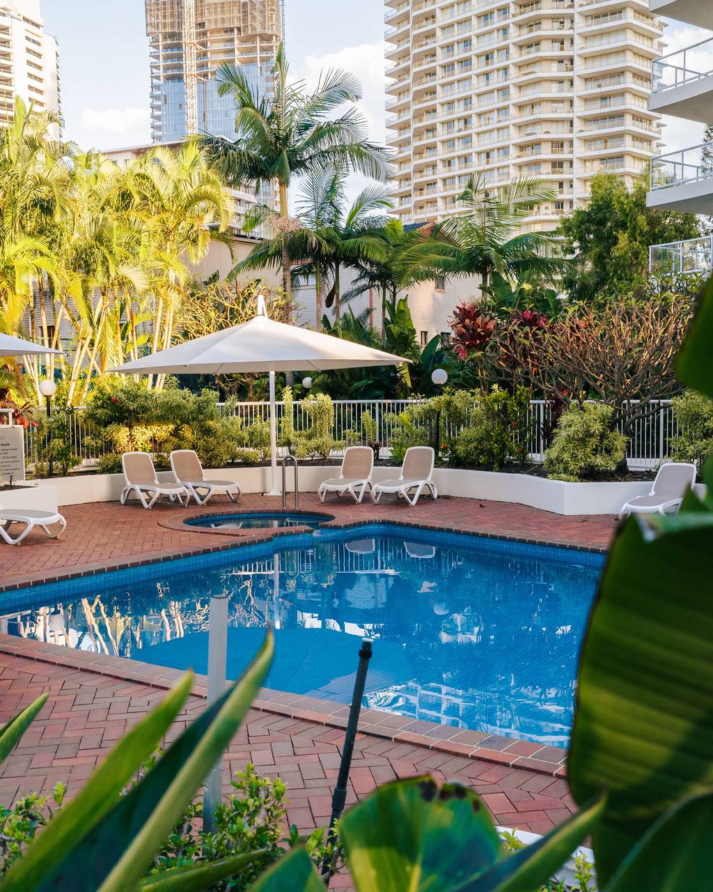 Pool surrounded by plantings